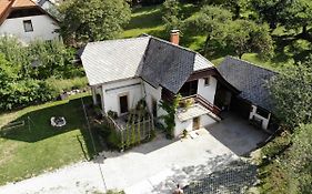 Apartment Polane